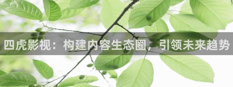 达达兔神马：四虎影视：构建内容生态圈，引领未来趋势