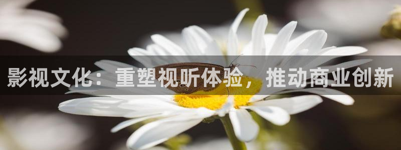 达达兔神马：影视文化：重塑视听体验，推动商业创新
